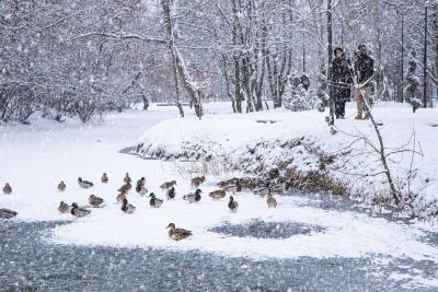 Прикрепленное изображение: nIffBJkKNZ0.jpg